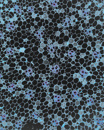 Materials & Innovation