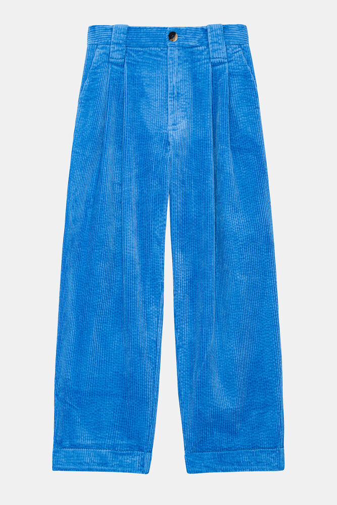 Blue Corduroy Loose Pleat Pants, Silver Lake Blue