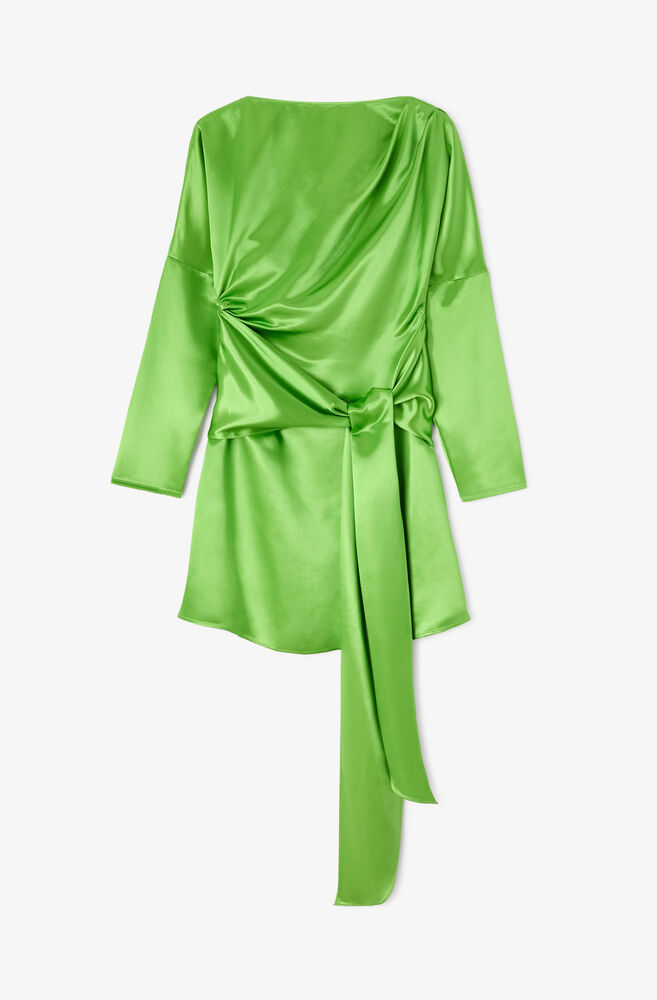 Dress in Green Satin, Spindle Tree